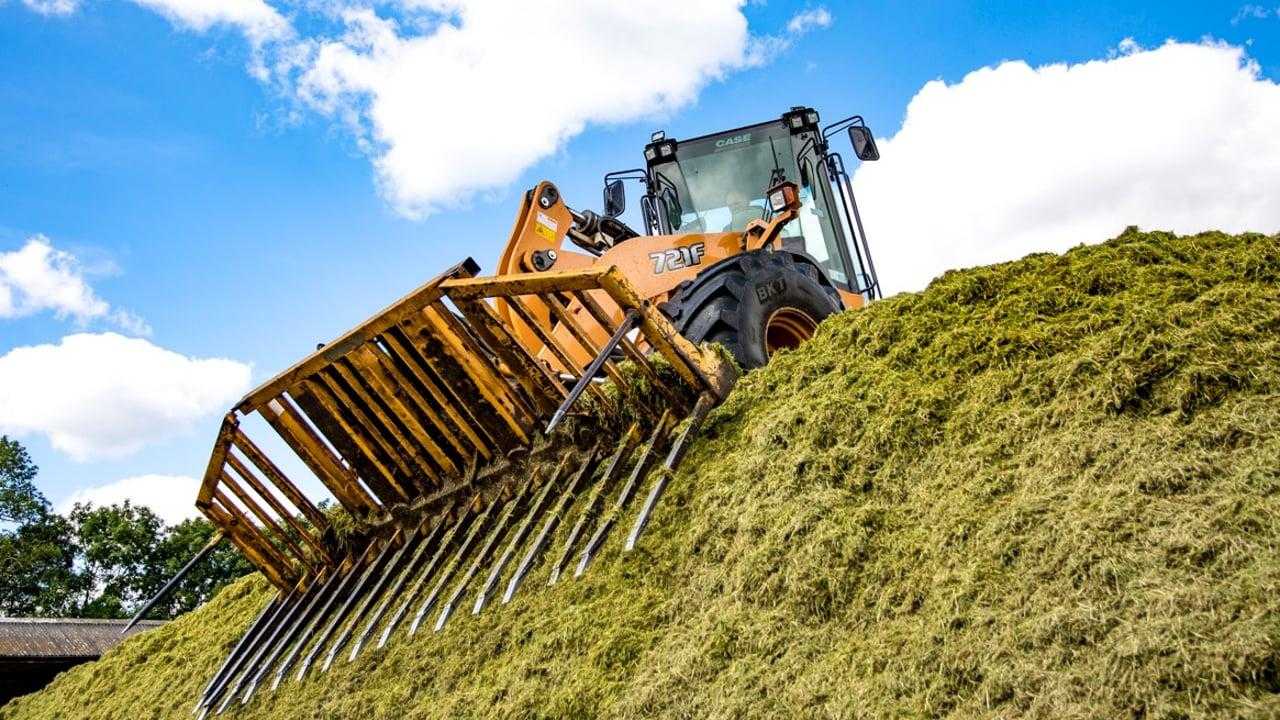 Agriculture